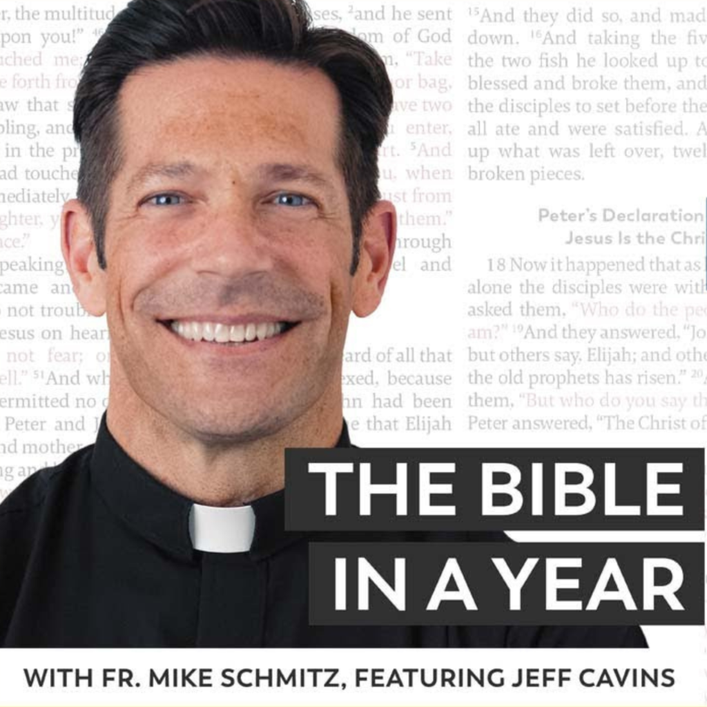 Bible in a Year with Fr. Mike Schmitz podcast cover